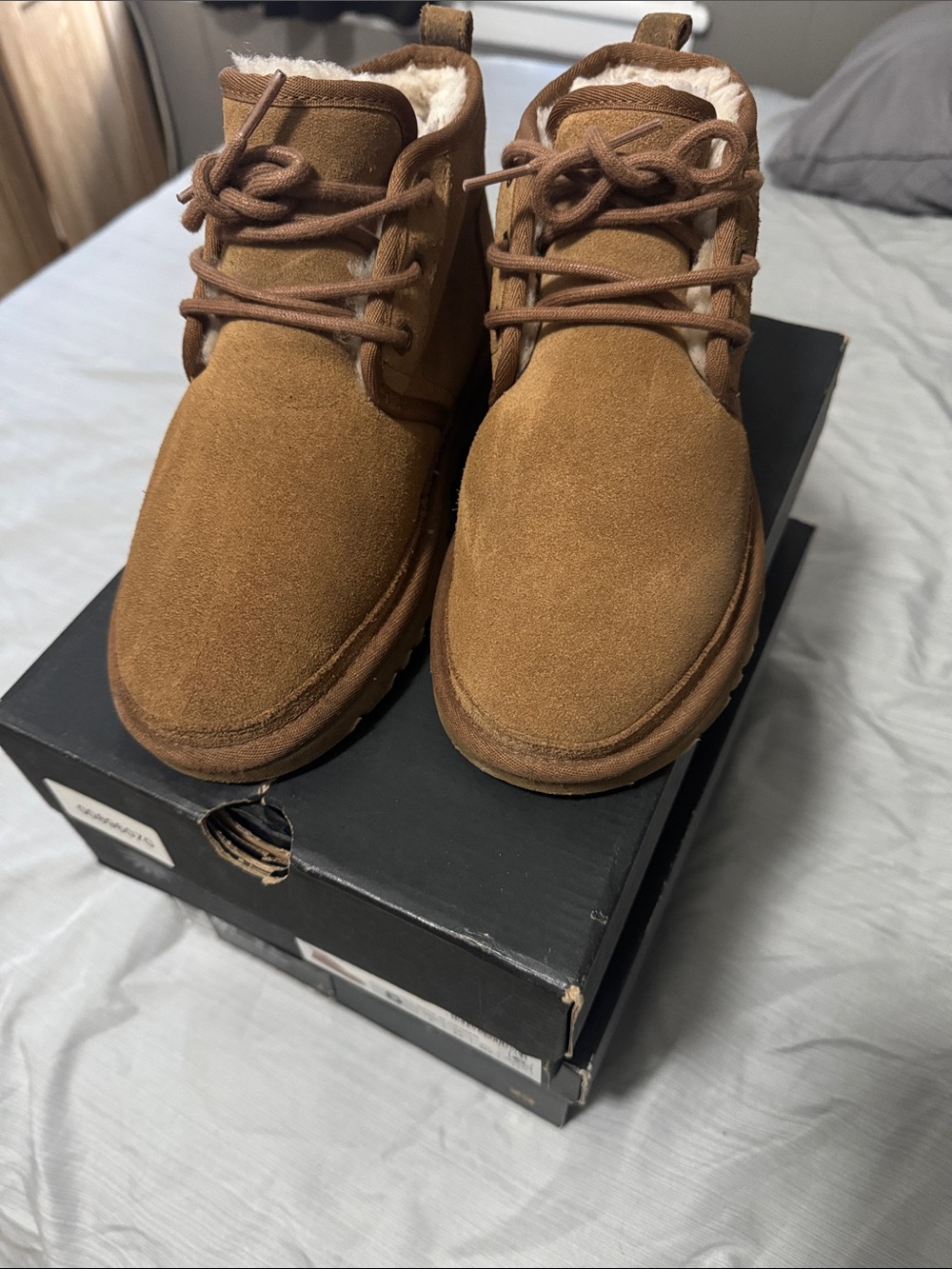 UGG Men's Chukka Boots in Neumel